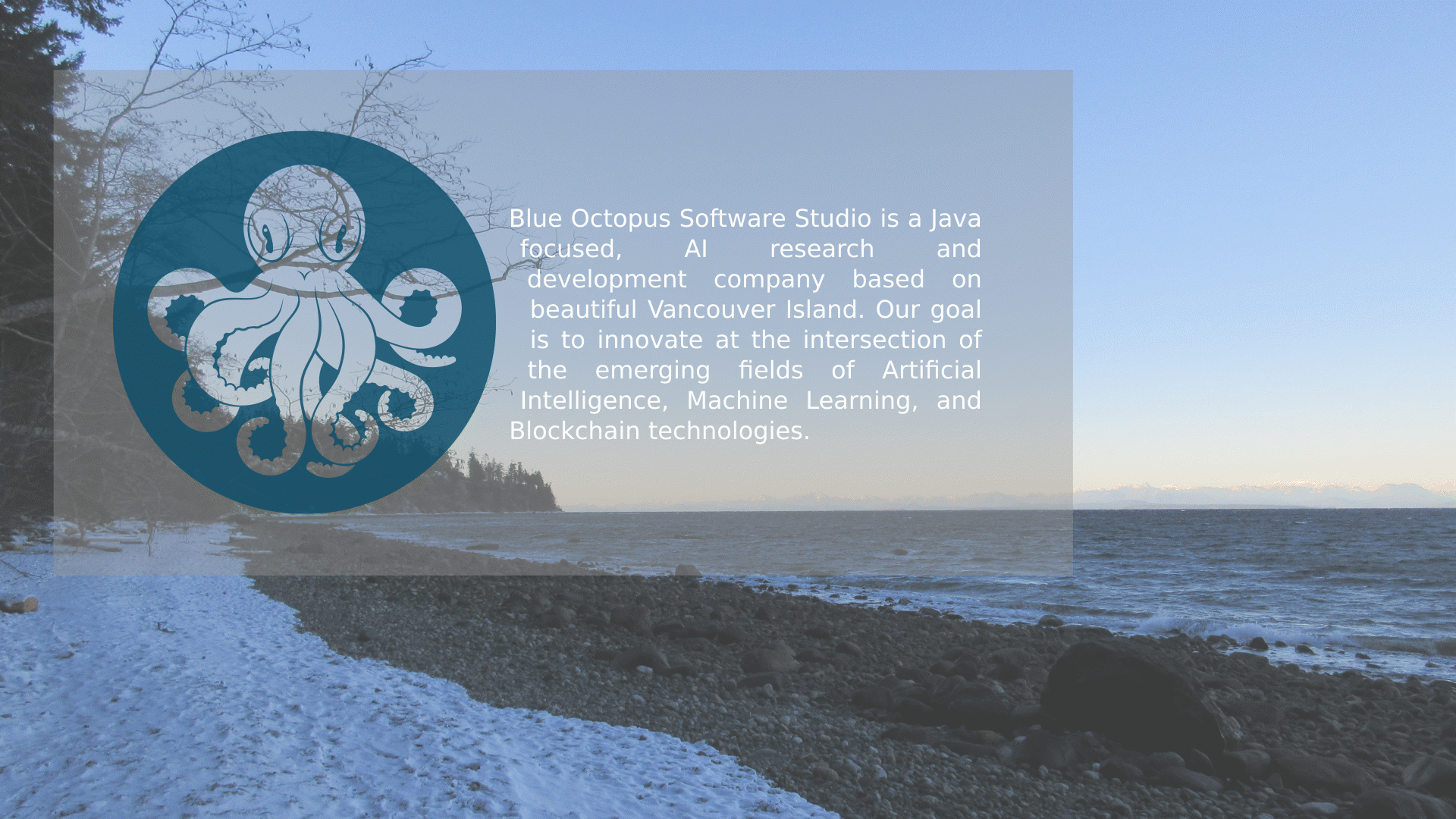 Blue Octopus Software Studio beach photo